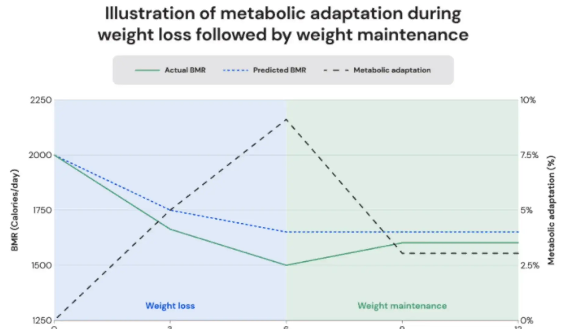 Why This is The Best Nutrition Tracking App MacroFactor Review 2